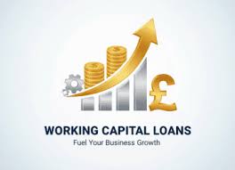 Working Capital Loans